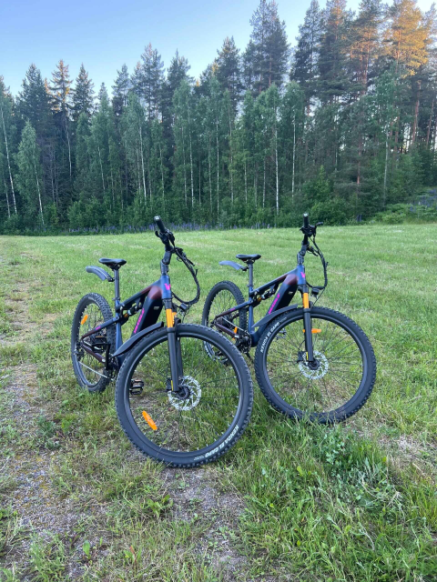 Sähköpyörät 2 kpl